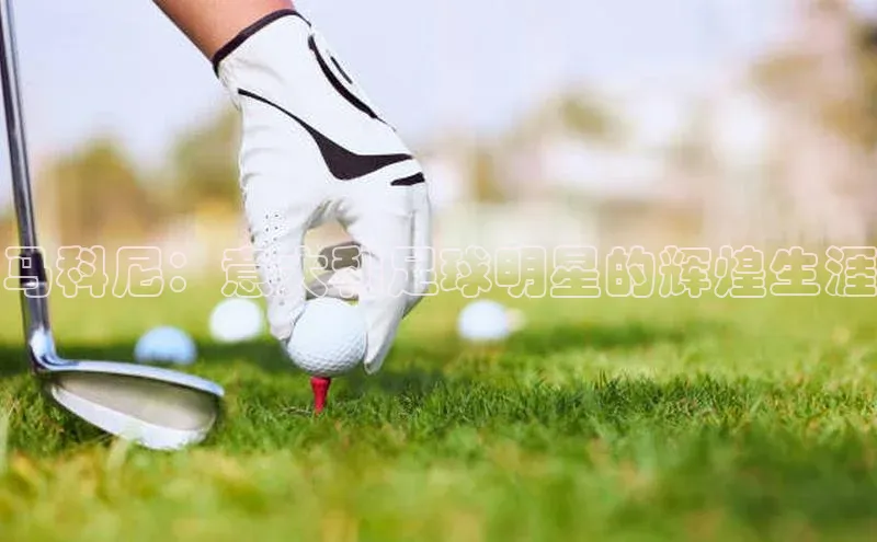 球盟会手机网页版极氪智能科技