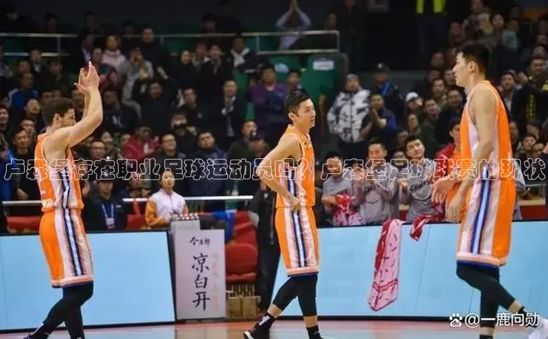 球盟会app官方下载挪威主权基金