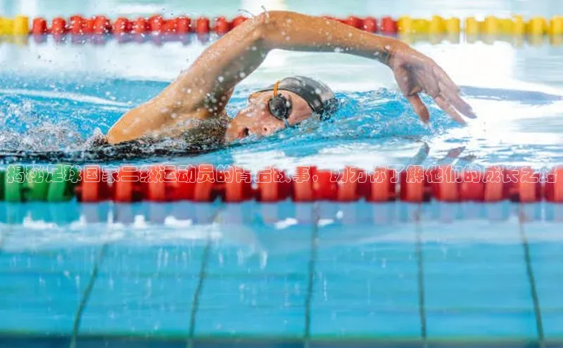 球盟会登录入口网页版百度翻译App