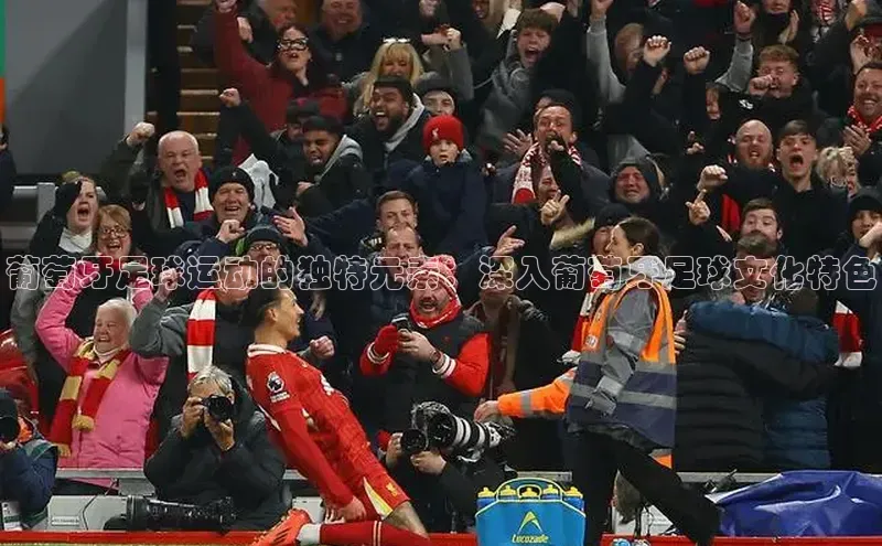 球盟会登录入口网页版中文在线