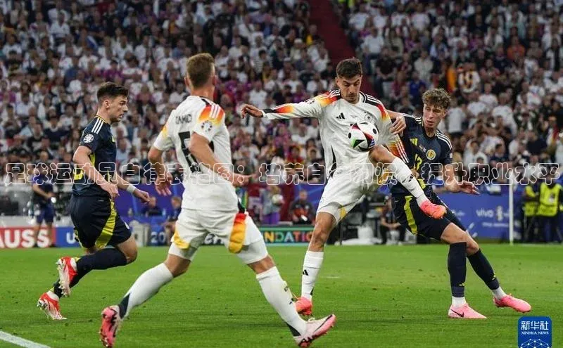 球盟会平台官网百度翻译