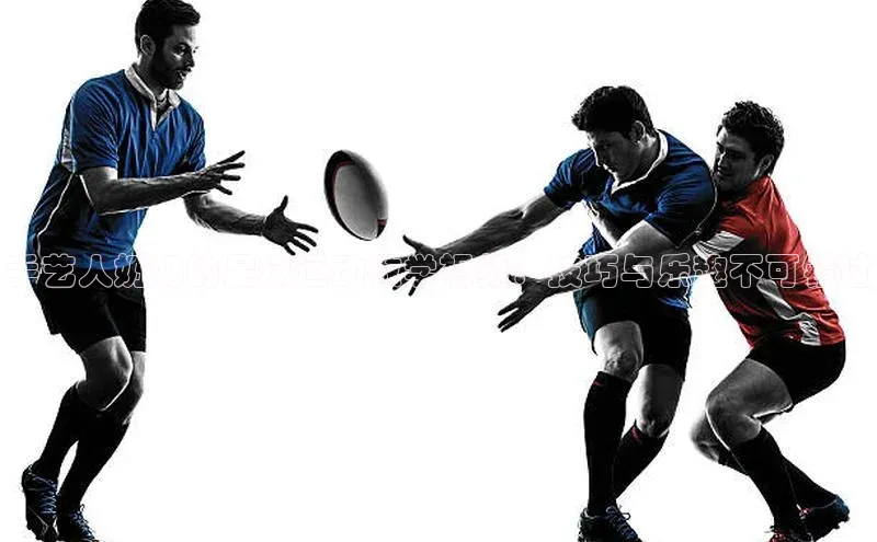 球盟会在线官网雷柏科技