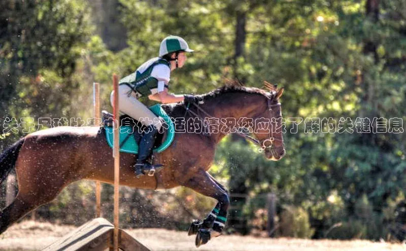 球盟会(中国)官方网站哇咔哇咔文化