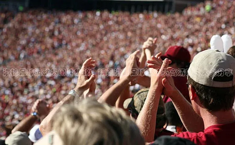 球盟会官网app下载猫眼