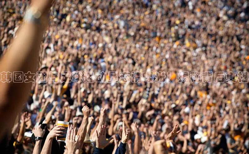 球盟会官方网站入口百度游戏开放平台