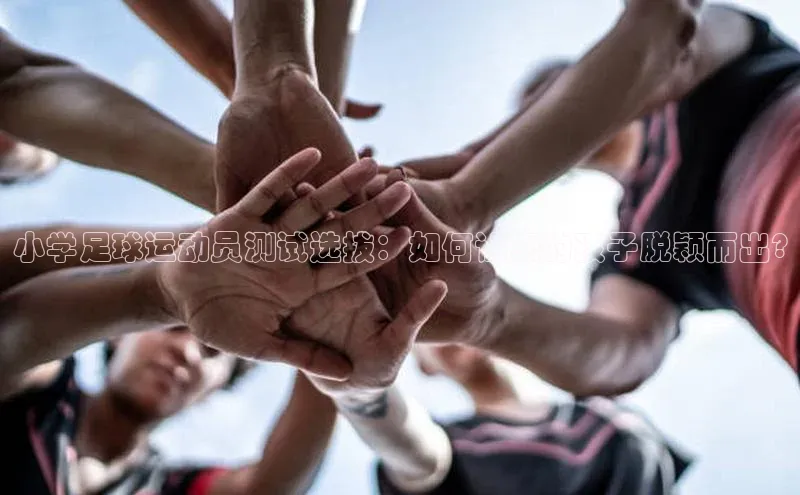 球盟会平台官网百度翻译