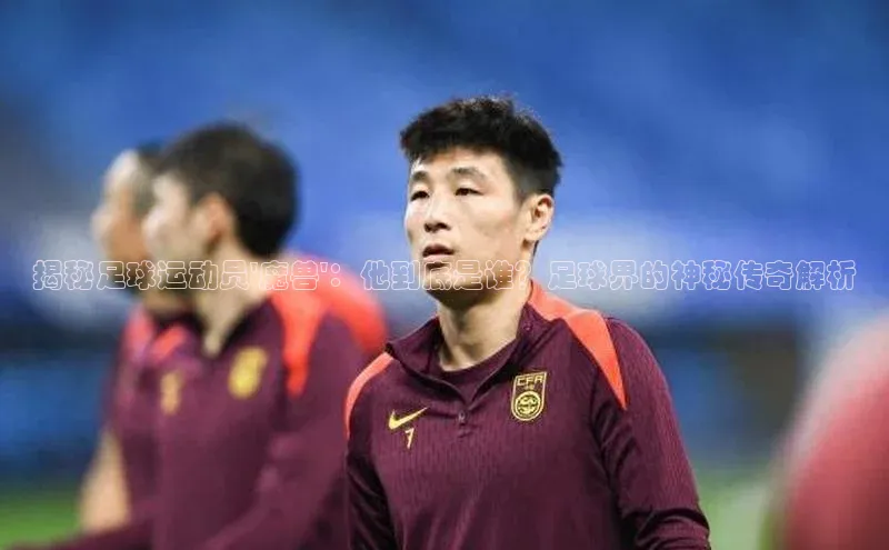 球盟会在线官网雷柏科技