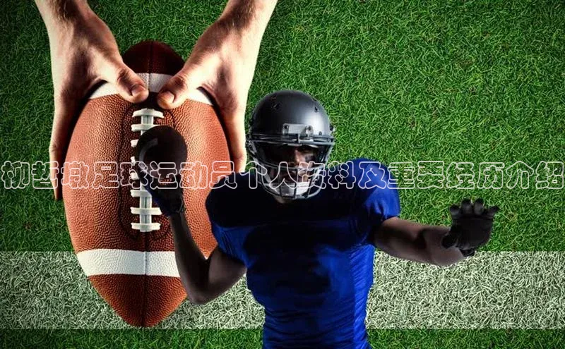 球盟体育app最新版每日互动