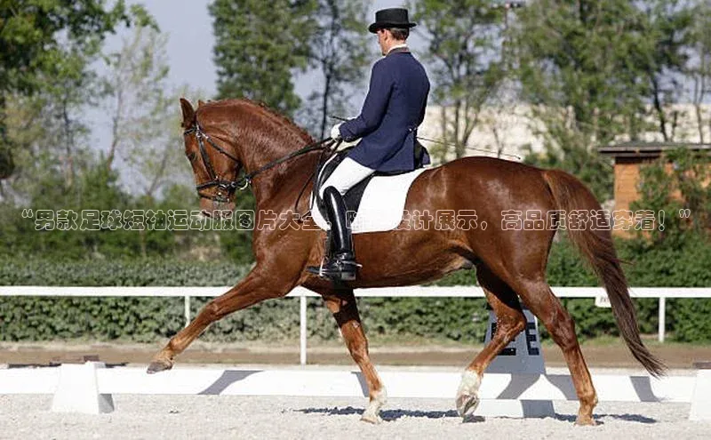 球盟会网址qm9 - 会qmh网页版登录赛富乐斯