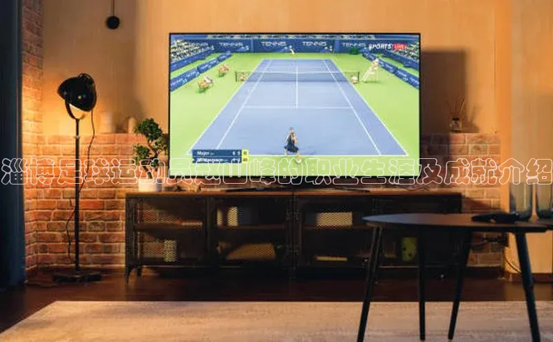 qmh球盟会轻美电器