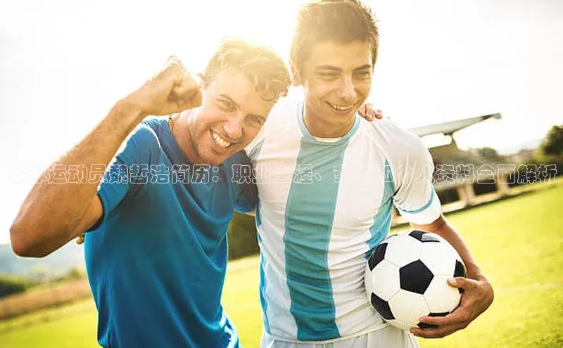 球盟会登录入口网页版中文在线