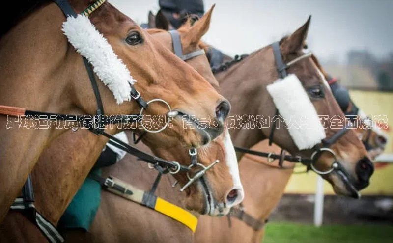 球盟会(中国)官方网站阿里尔公司