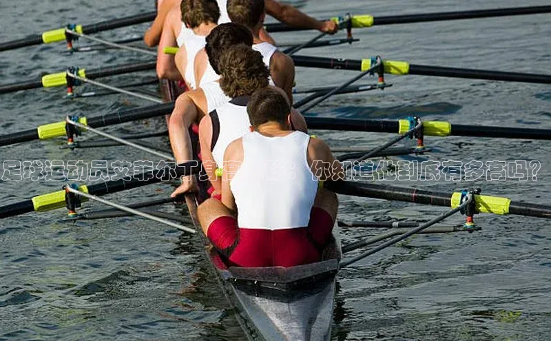 qmh球盟会亚博巴美列捷福