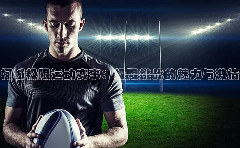 球盟会登录入口网页版中文在线