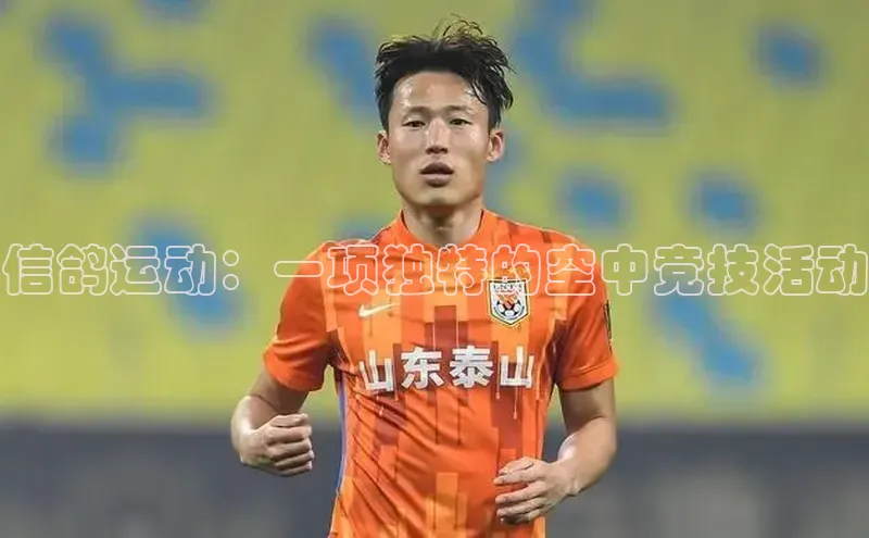 球盟会登录网址京东