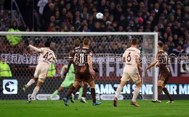 球盟会官网app下载