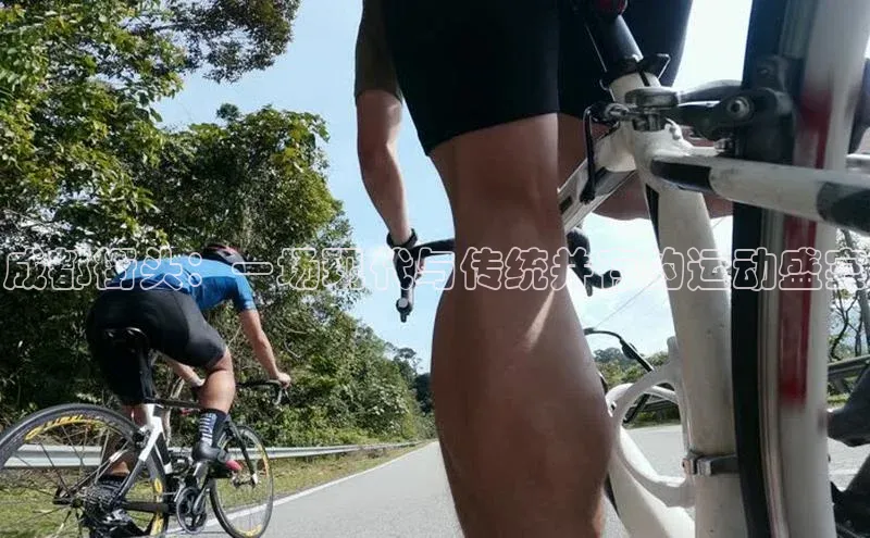 球盟会qmh网页版登录