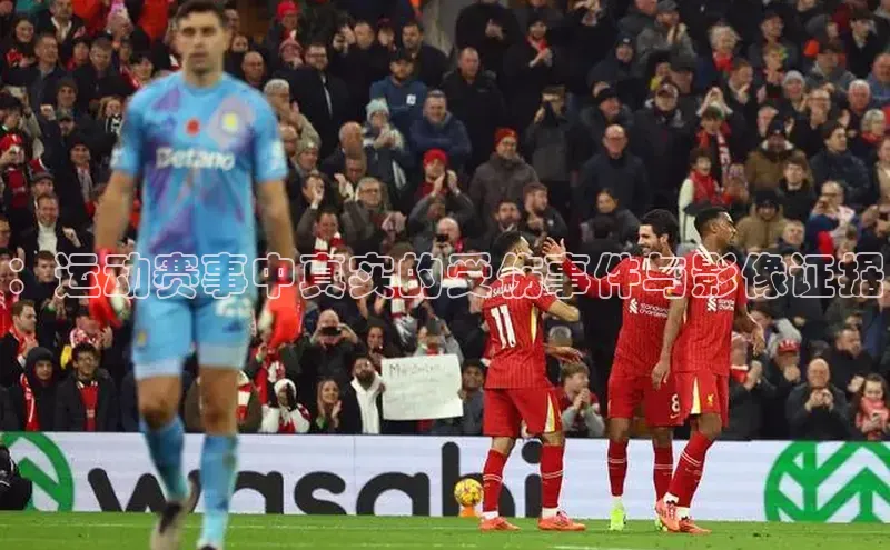 球盟会登录入口网页版