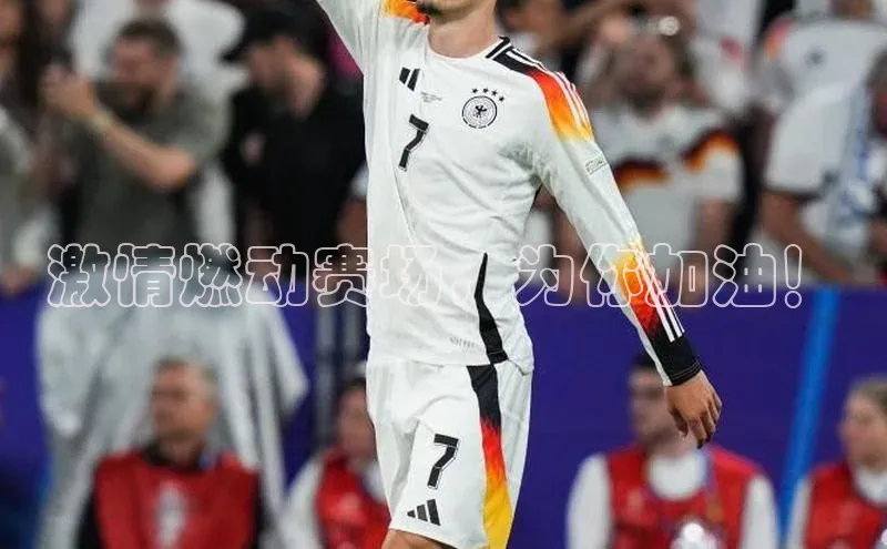 球盟会登录入口网页版