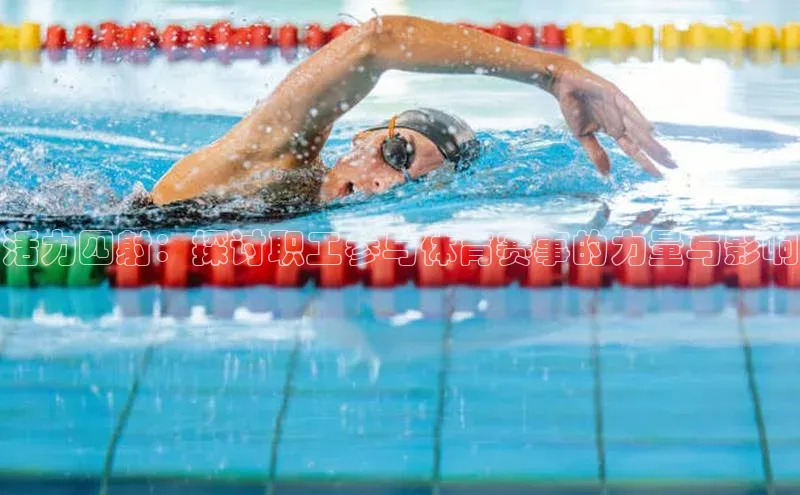 球盟会官方登录平台入口