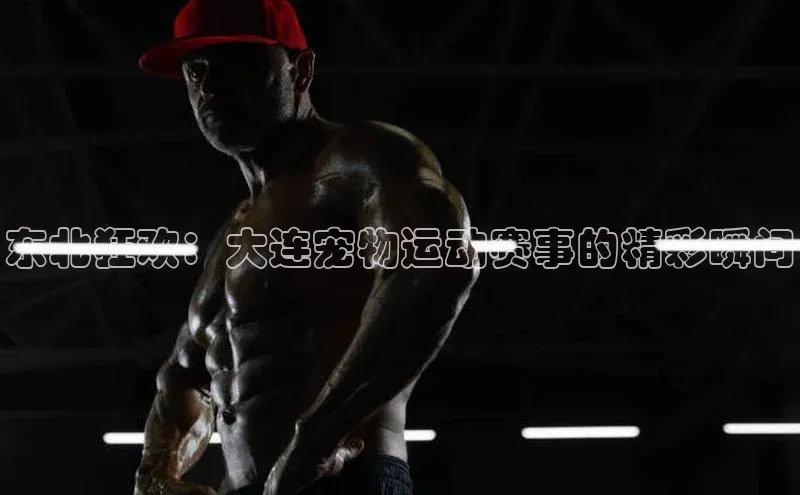 球盟会官方网站入口