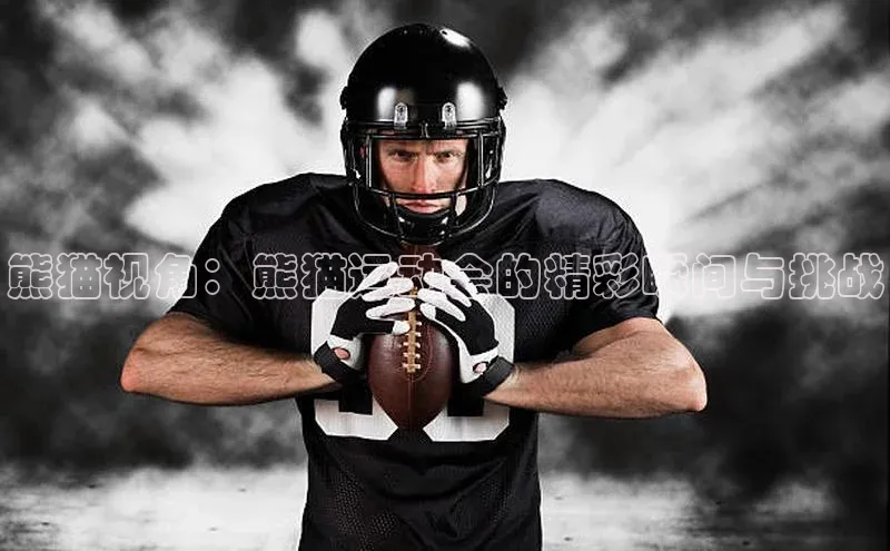 球盟会登录入口网页版