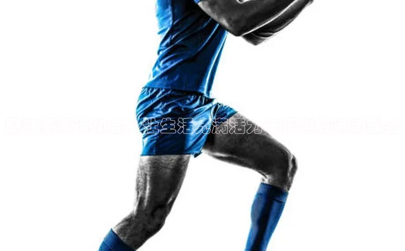 球盟体育下载官网