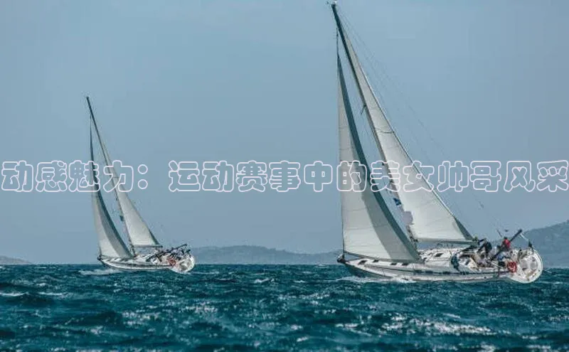 球盟会APP最新地址